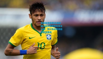 海星体育官网|孔帕尼确认帕夫洛维奇伤势无大碍，预计休战数周后将重返赛场