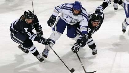 海星体育平台：篮球传奇长河引热议，雷记抛出神兽论，红熊猫才是永恒丰碑！
